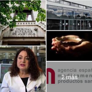 WhatsApp Image 2026-01-18 at 20.40.52