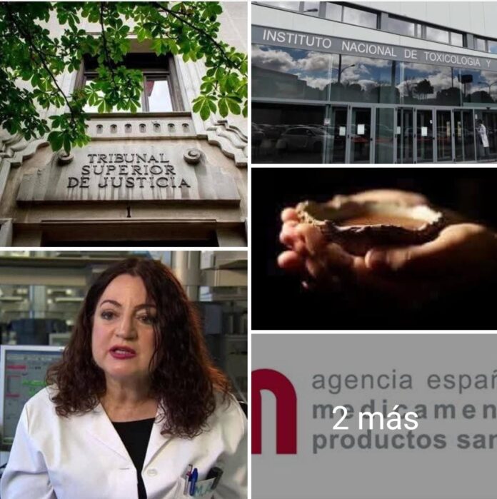 WhatsApp Image 2026-01-18 at 20.40.52