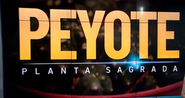 msedge_2026-01-09_12-50-39