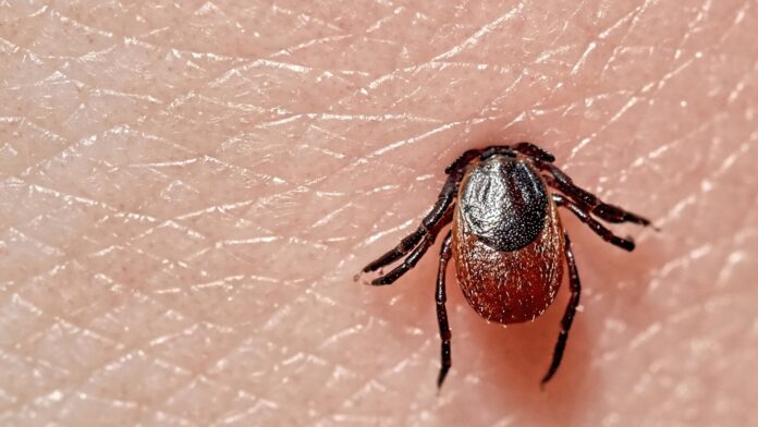 WhatsApp Image 2026-03-14 at 12.37.42